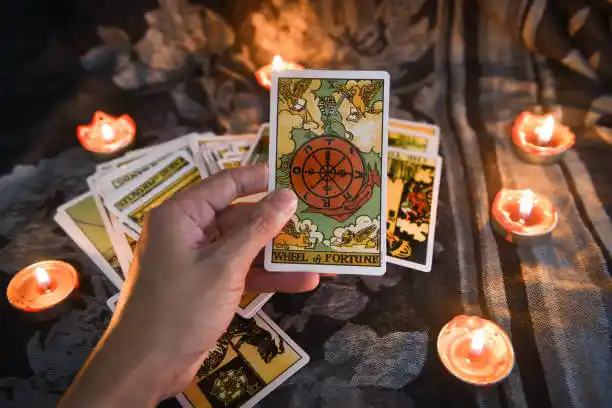 tarot cards South Lockport